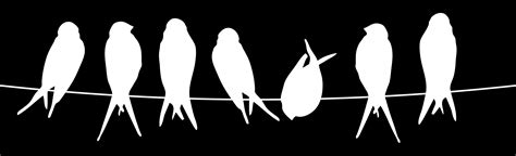 free spins on birds on a wire